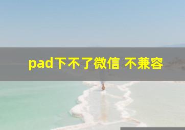 pad下不了微信 不兼容